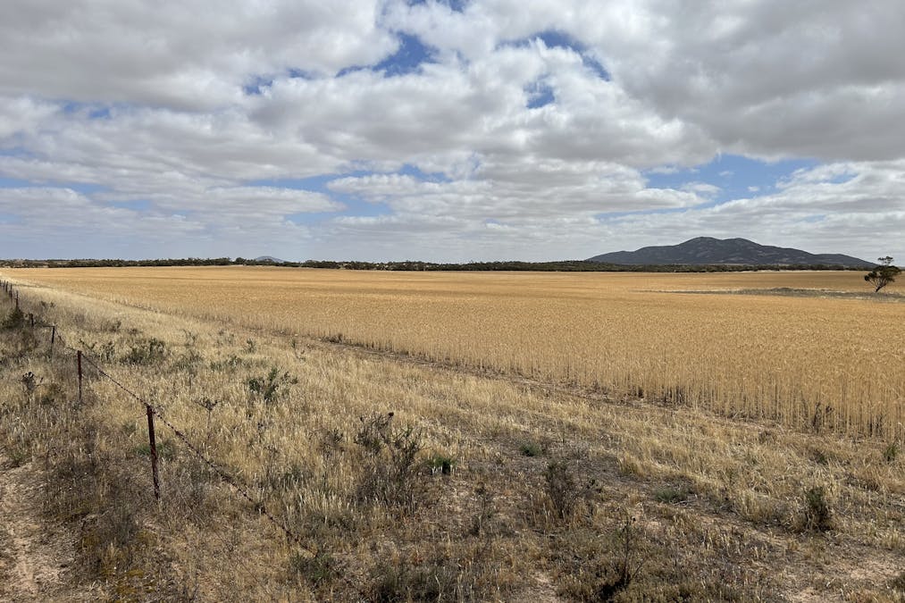 4/Davis Road, Darke Peak, SA, 5642 - Image 7