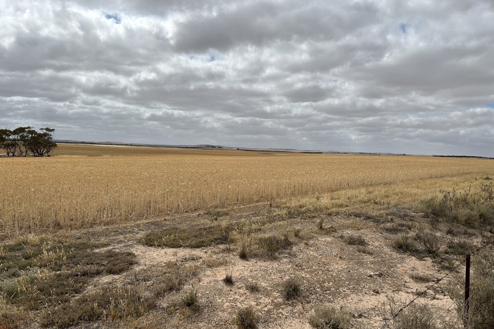 4/Davis Road, Darke Peak, SA, 5642 - Image 8