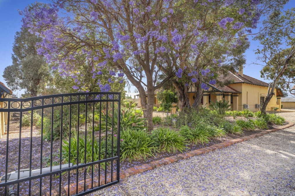 2033 Stanitzki Road, Loxton, SA, 5333 - Image 2