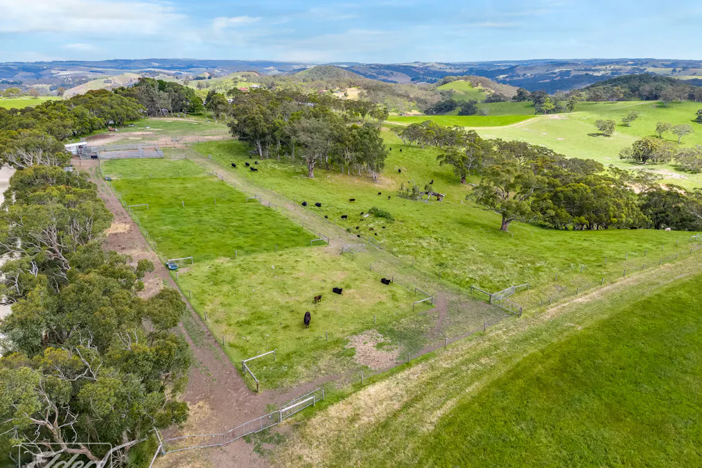 283 Mount Magnificent Road, Mount Magnificent, SA, 5210 - Image 20