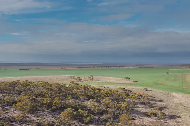 109 Birdseye Highway — photo from Elders Real Estate Eastern Eyre Peninsula