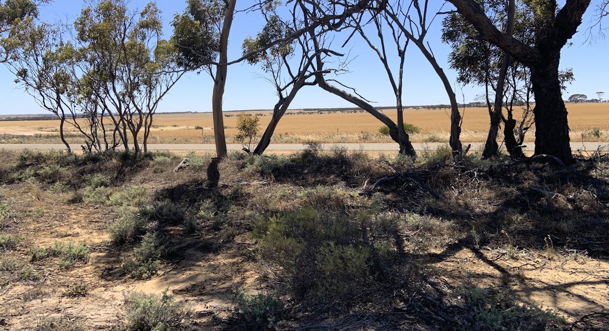 72/Piesse Street, Yelbeni, WA, 6487 - Image 2