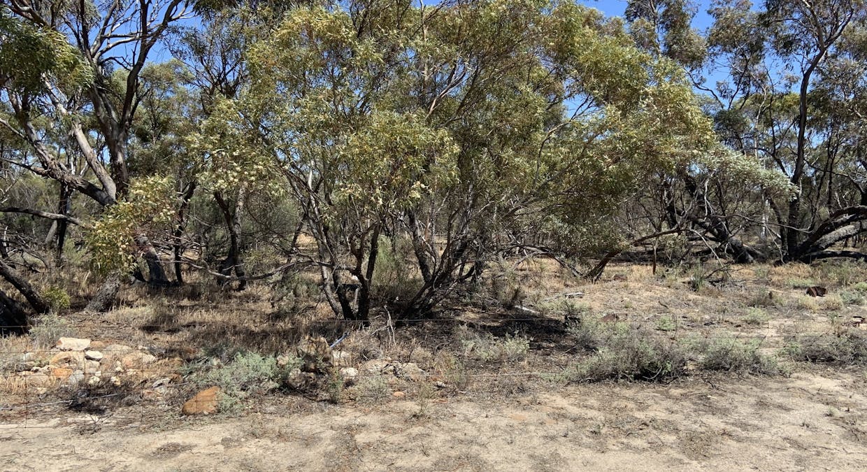 72/Piesse Street, Yelbeni, WA, 6487 - Image 9