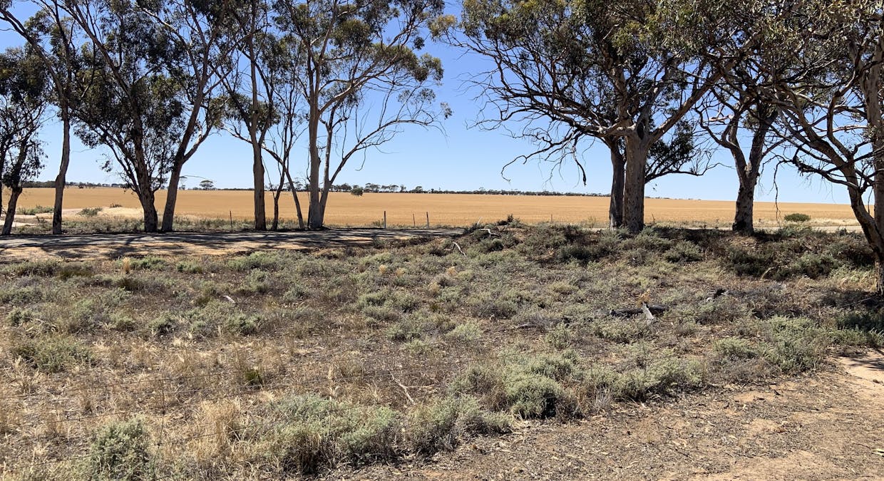 72/Piesse Street, Yelbeni, WA, 6487 - Image 13