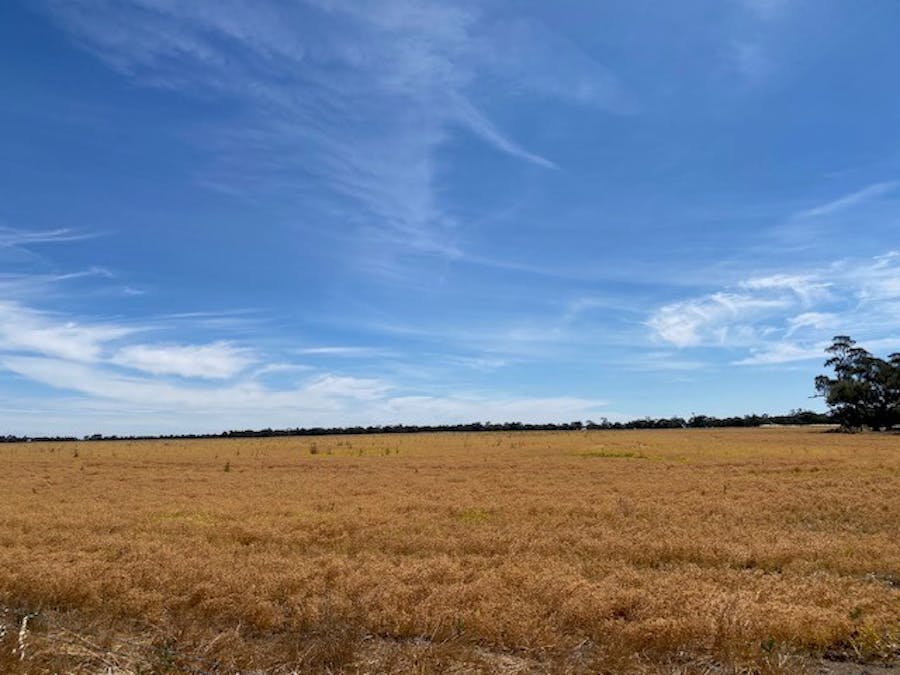 Gorman Road, Minyip, VIC, 3392 - Image 1