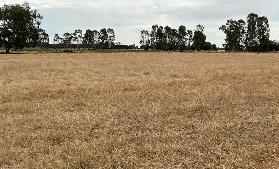 Lindifferon Lane, Deniliquin, NSW, 2710 - Image 30