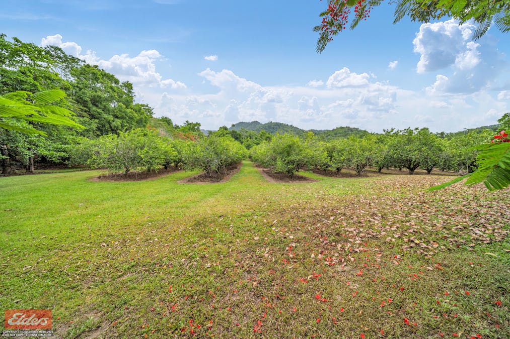21 Wooloogin Road, Japoonvale, QLD, 4856 - Image 32