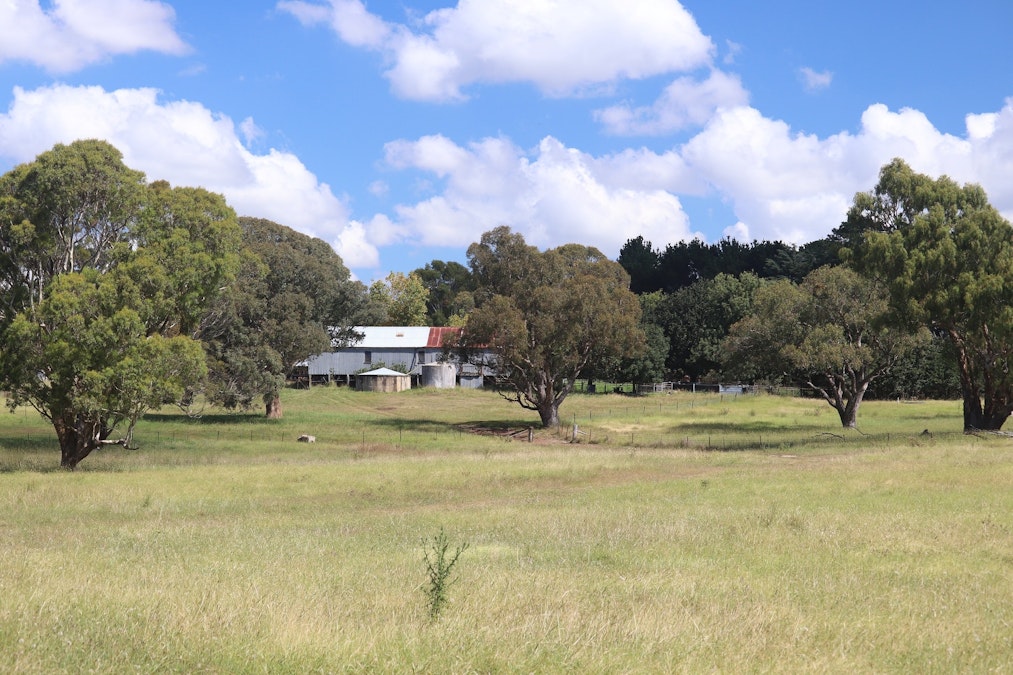 620 Levels Road, Golspie, NSW, 2580 - Image 11