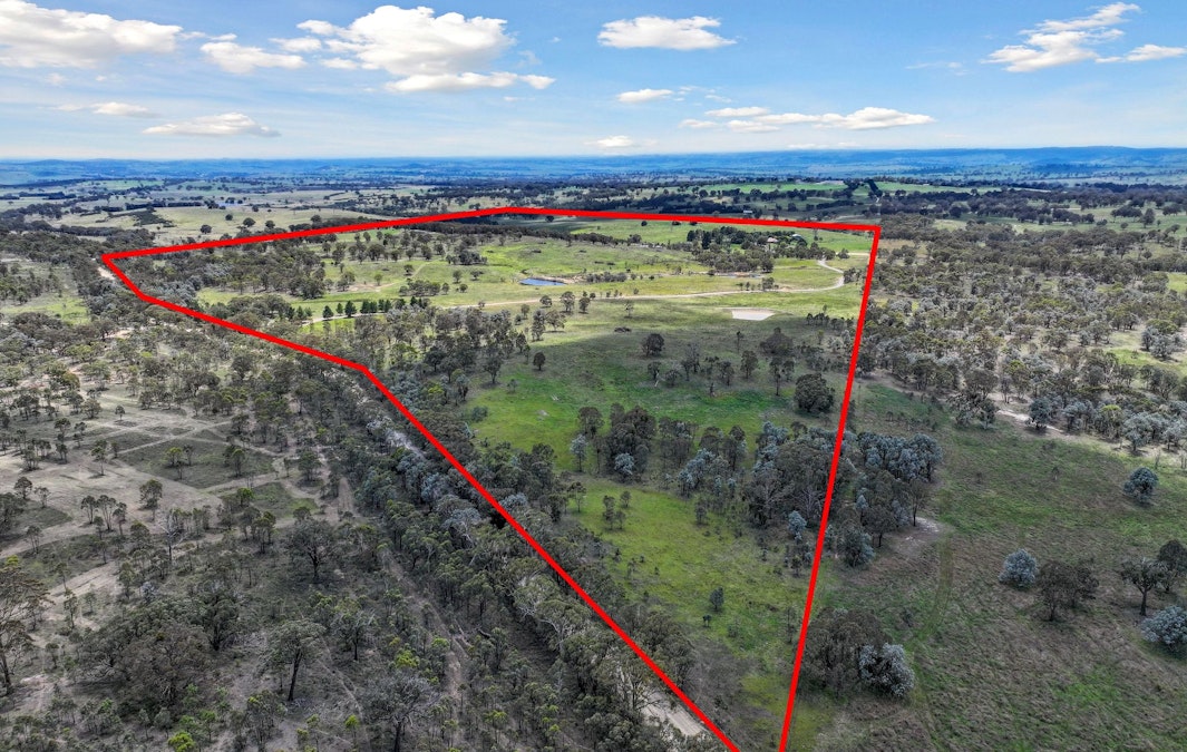 1059 Collector Road, Gunning, NSW, 2581 - Image 12