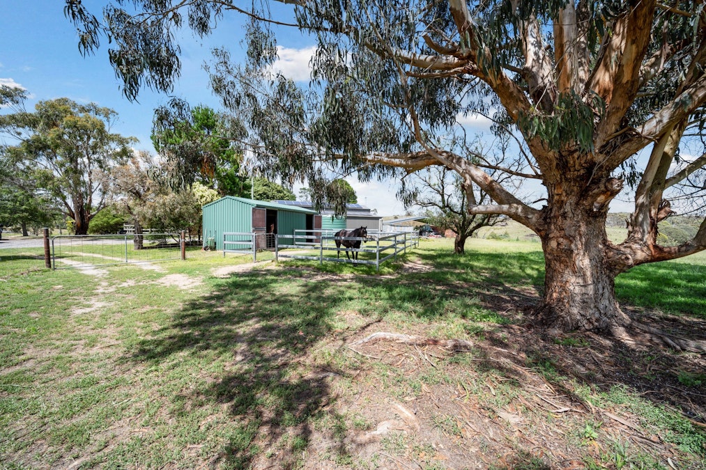 1059 Collector Road, Gunning, NSW, 2581 - Image 34