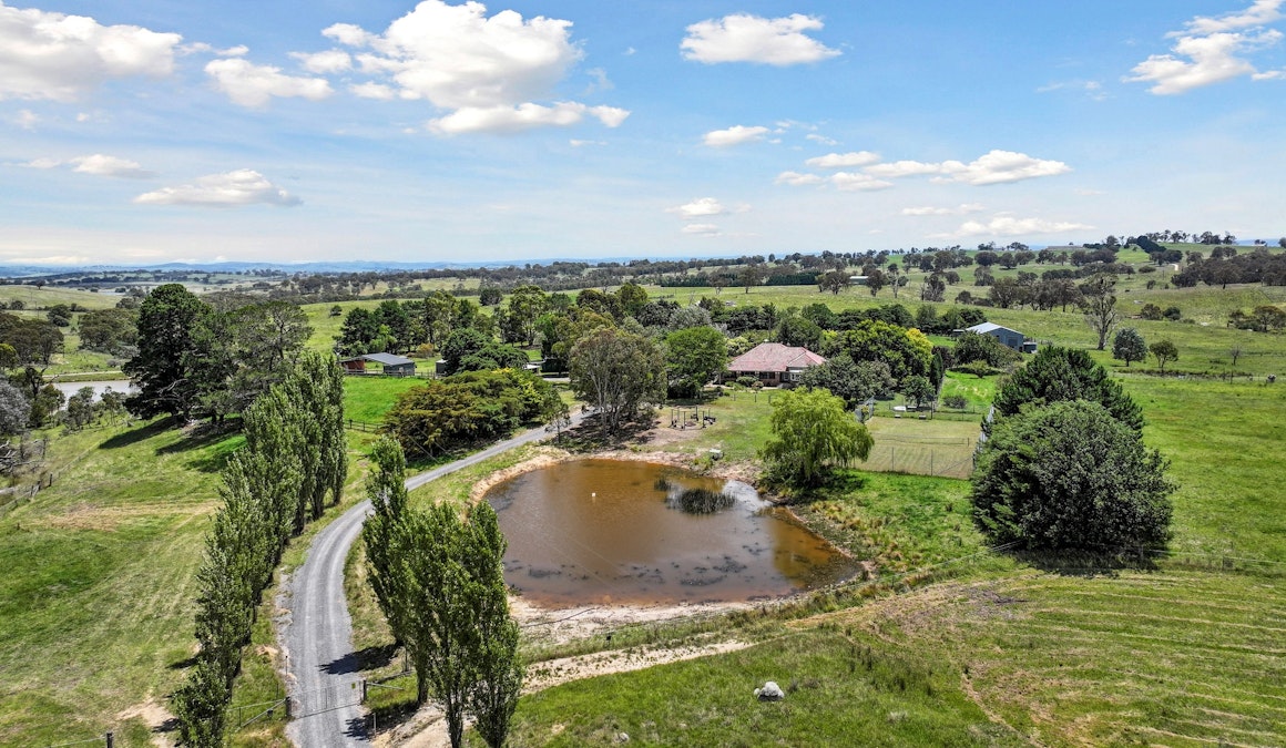 1059 Collector Road, Gunning, NSW, 2581 - Image 6