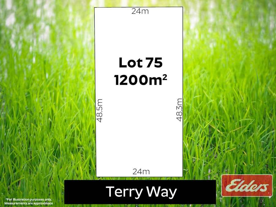 29 Terry Way, Clayton Bay, SA, 5256 - Floorplan 1