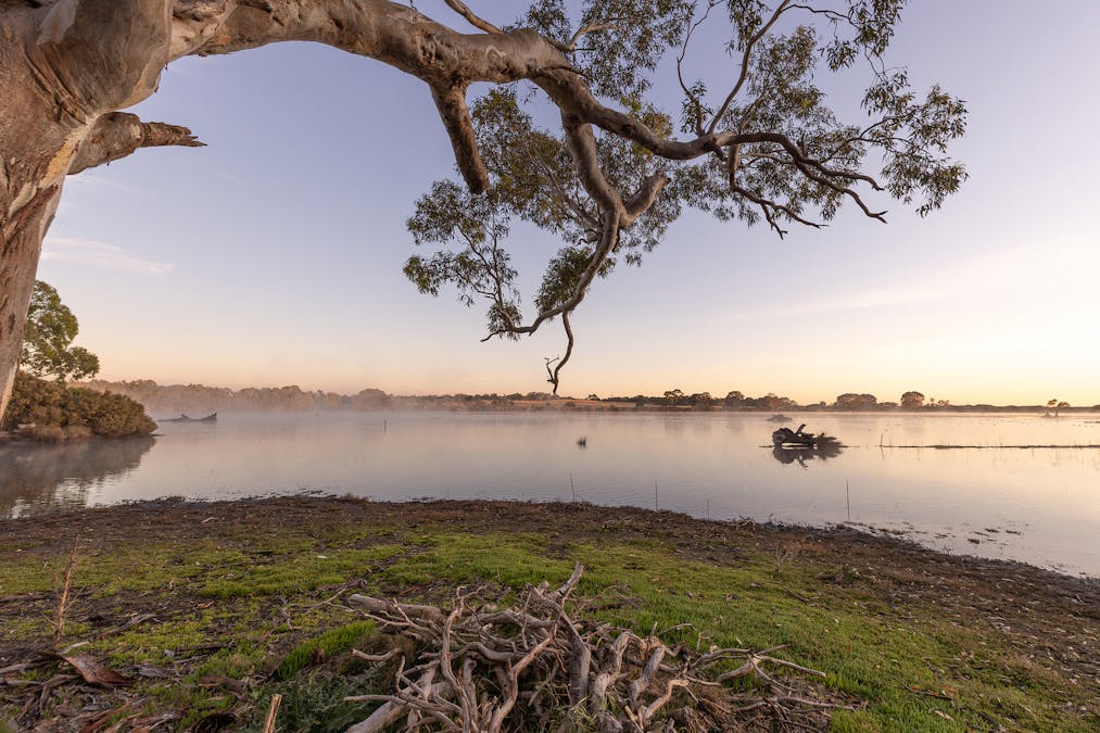 Robertson Road, Kingston Se, SA, 5275 - Image 7