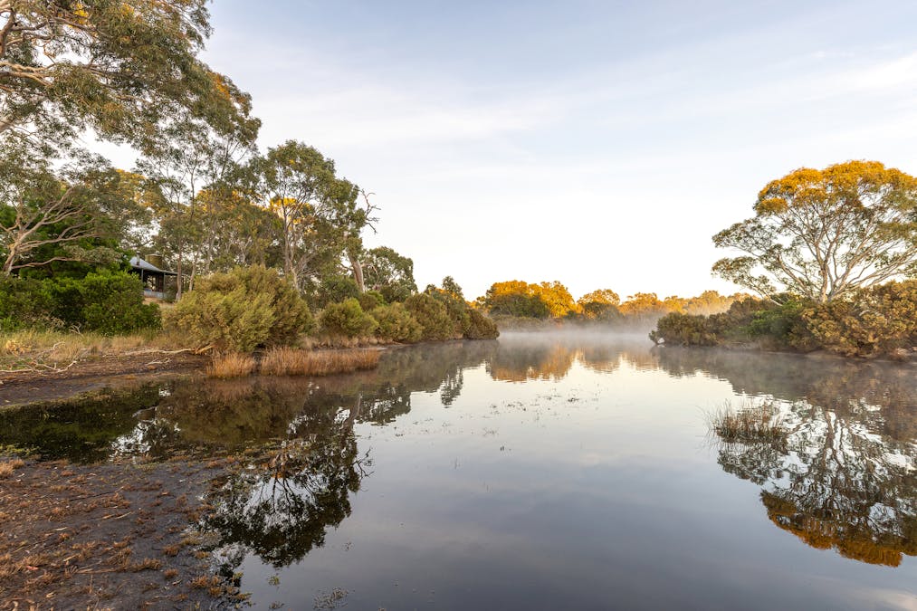 Robertson Road, Kingston Se, SA, 5275 - Image 14