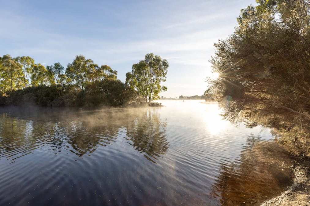 Robertson Road, Kingston Se, SA, 5275 - Image 31