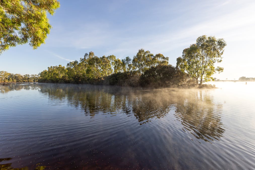 Robertson Road, Kingston Se, SA, 5275 - Image 15