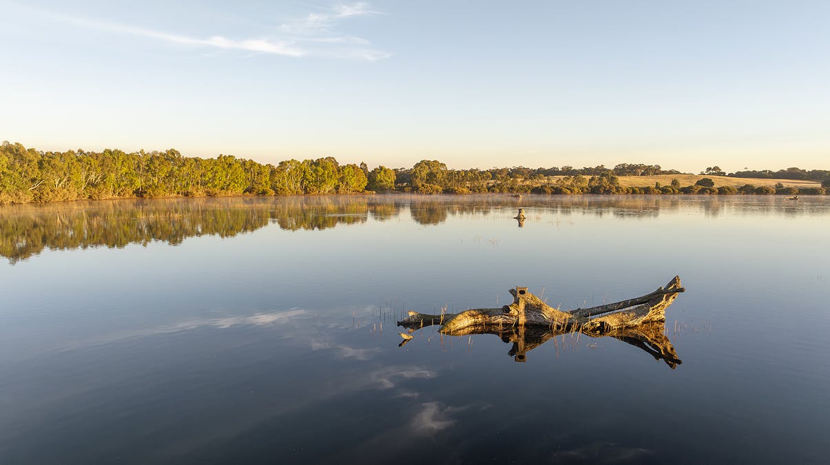 Robertson Road, Kingston Se, SA, 5275 - Image 17
