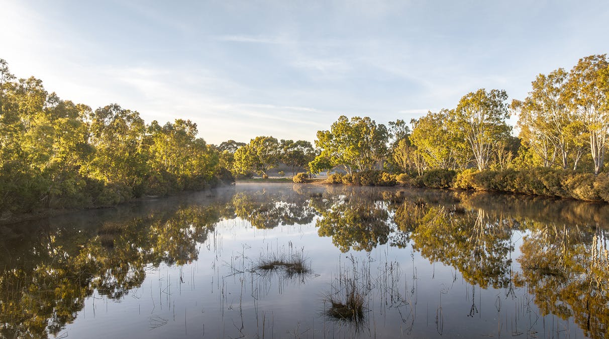 Robertson Road, Kingston Se, SA, 5275 - Image 32