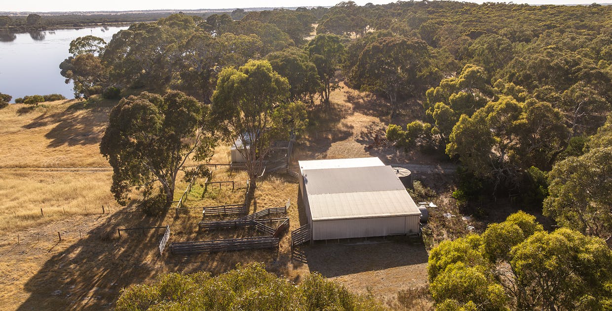 Robertson Road, Kingston Se, SA, 5275 - Image 6
