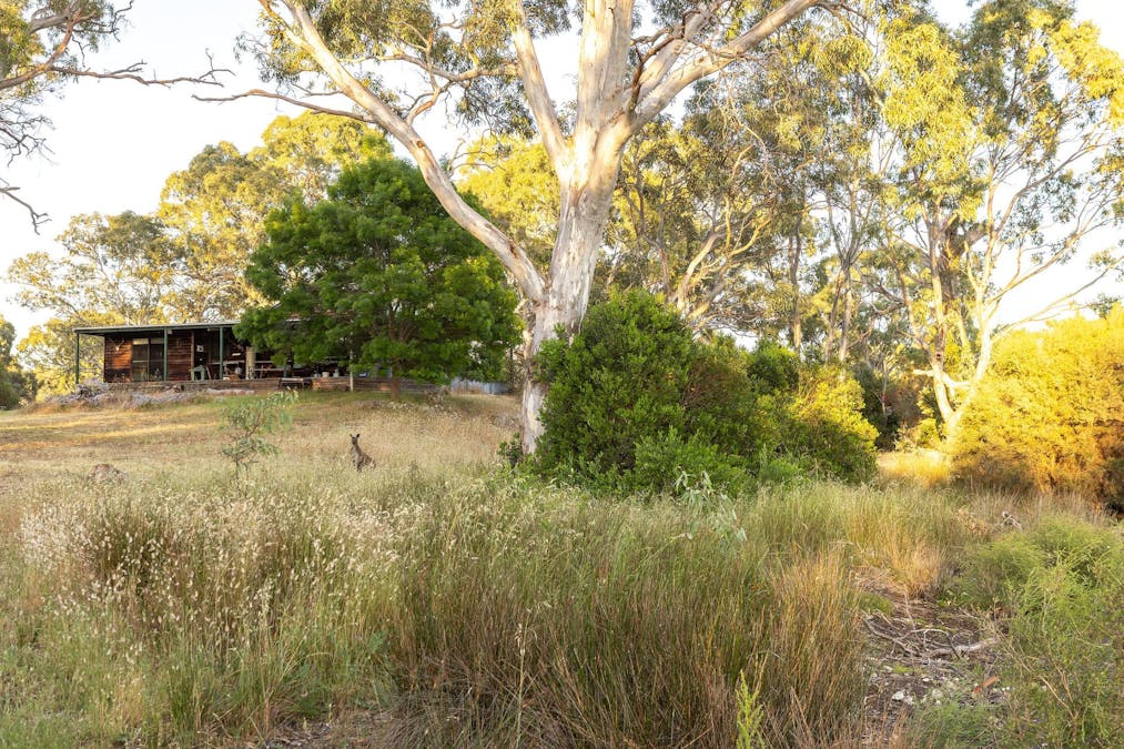 Robertson Road, Kingston Se, SA, 5275 - Image 27