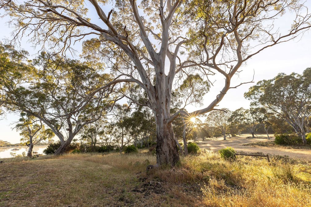 Robertson Road, Kingston Se, SA, 5275 - Image 28