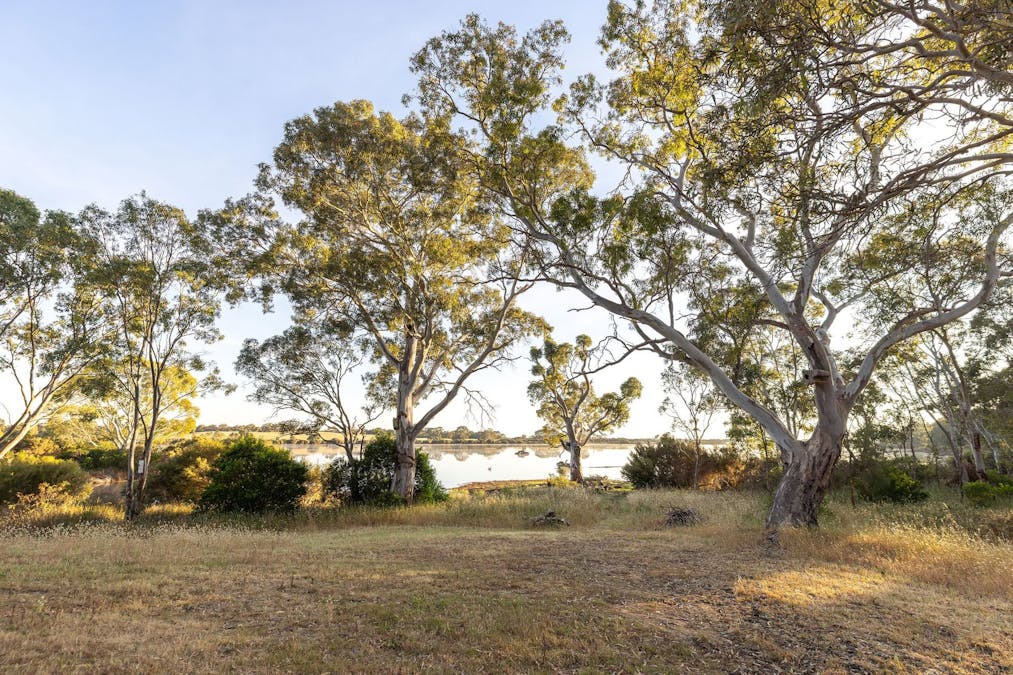Robertson Road, Kingston Se, SA, 5275 - Image 29