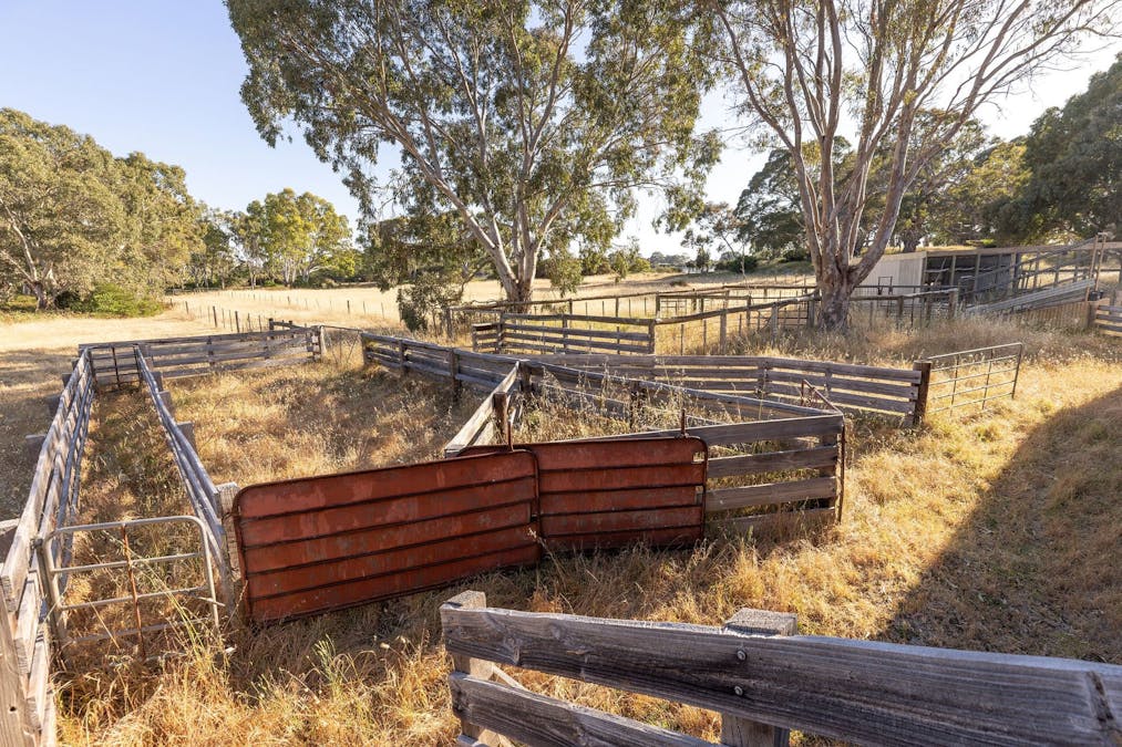 Robertson Road, Kingston Se, SA, 5275 - Image 22