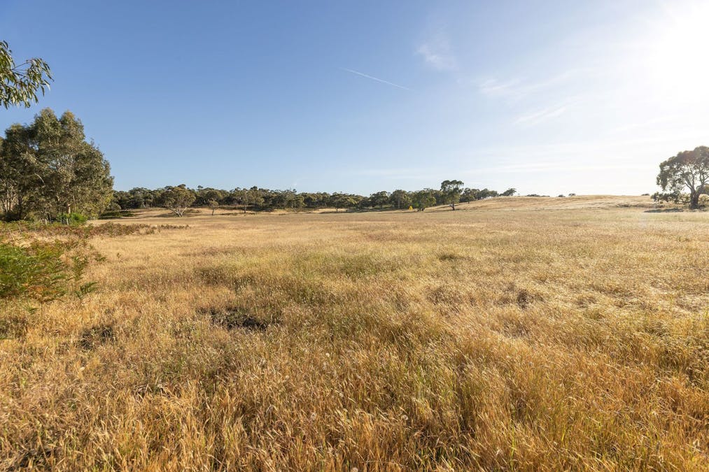 Robertson Road, Kingston Se, SA, 5275 - Image 1