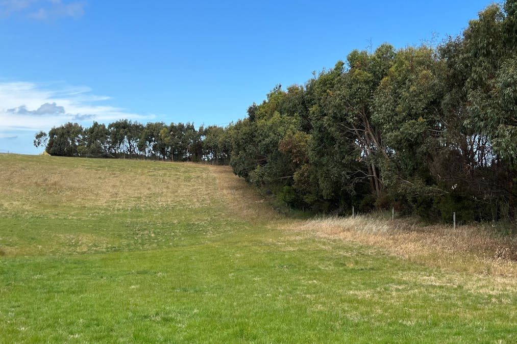 Great Ocean Road, Mepunga West, VIC, 3277 - Image 18