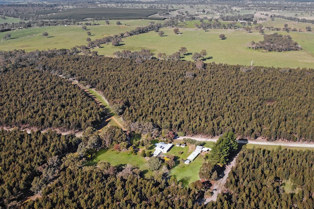 105 Glendhu Road, Casterton, VIC, 3311 - Image 17