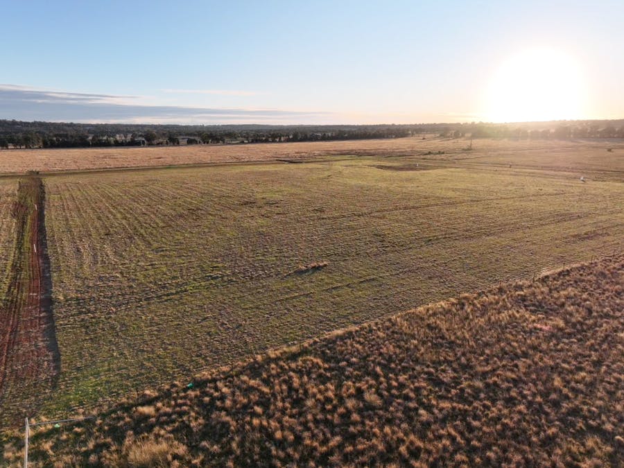Daisy Hill Estate, Eulomogo Road, Dubbo, NSW, 2830 - Image 10