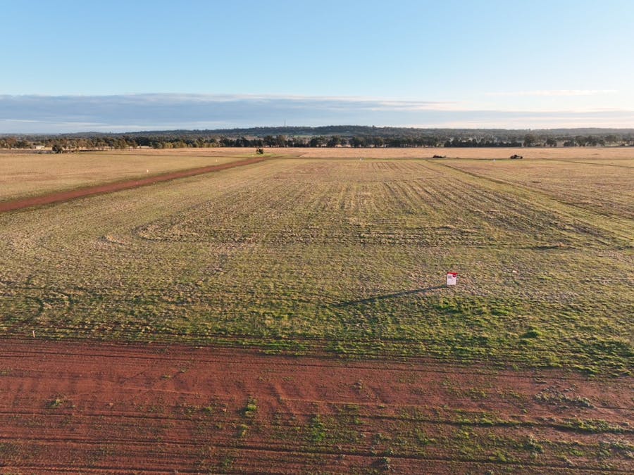 Daisy Hill Estate, Eulomogo Road, Dubbo, NSW, 2830 - Image 11