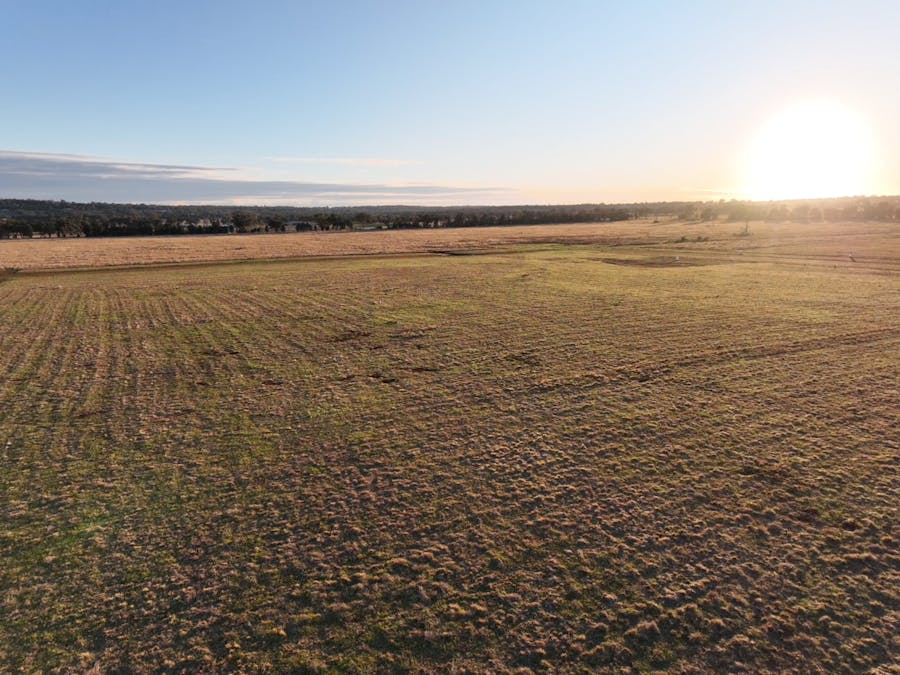 Daisy Hill Estate, Eulomogo Road, Dubbo, NSW, 2830 - Image 13