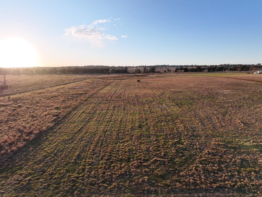Daisy Hill Estate, Eulomogo Road, Dubbo, NSW, 2830 - Image 14