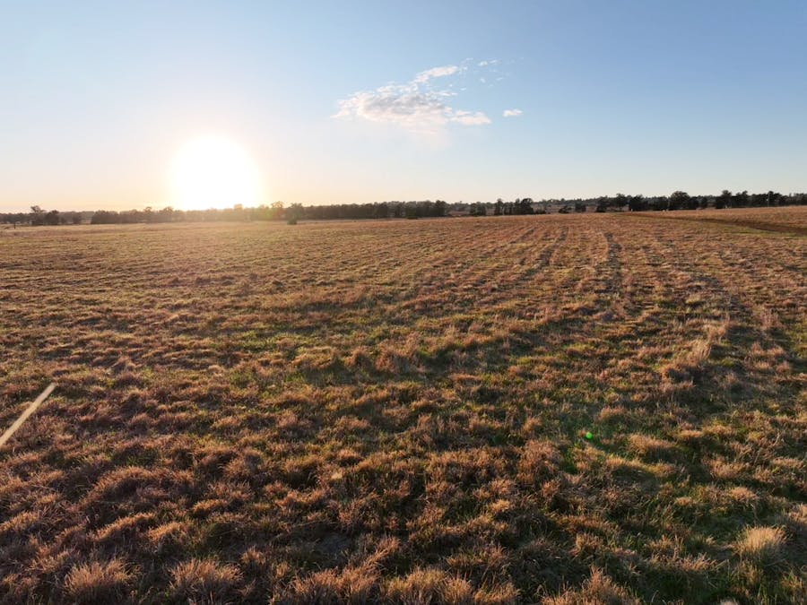 Daisy Hill Estate, Eulomogo Road, Dubbo, NSW, 2830 - Image 15