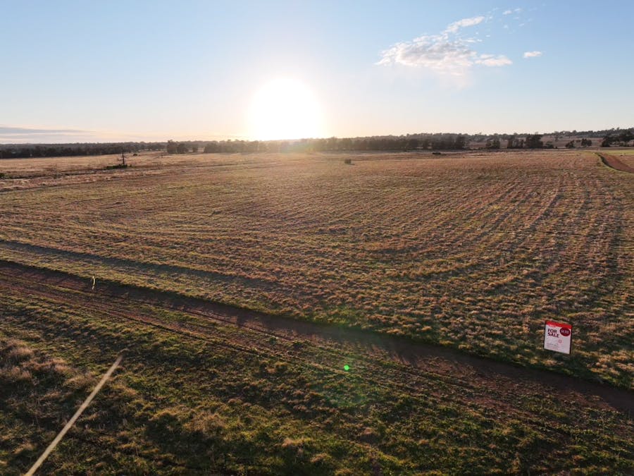 Daisy Hill Estate, Eulomogo Road, Dubbo, NSW, 2830 - Image 16
