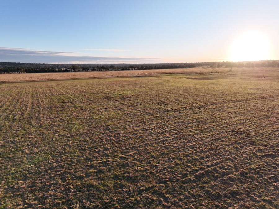 Daisy Hill Estate, Eulomogo Road, Dubbo, NSW, 2830 - Image 17