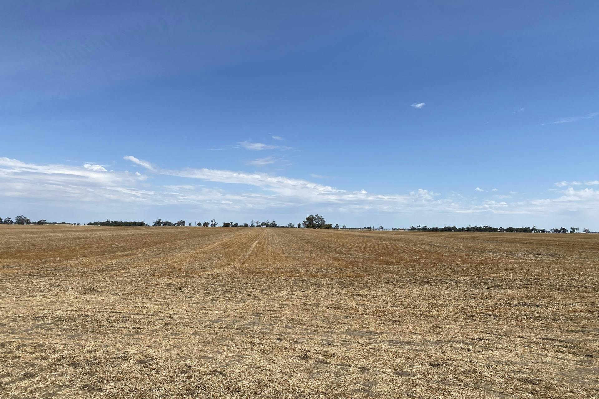 DonaldMurtoa Road, Minyip, VIC, 3392 Sold Elders Real Estate