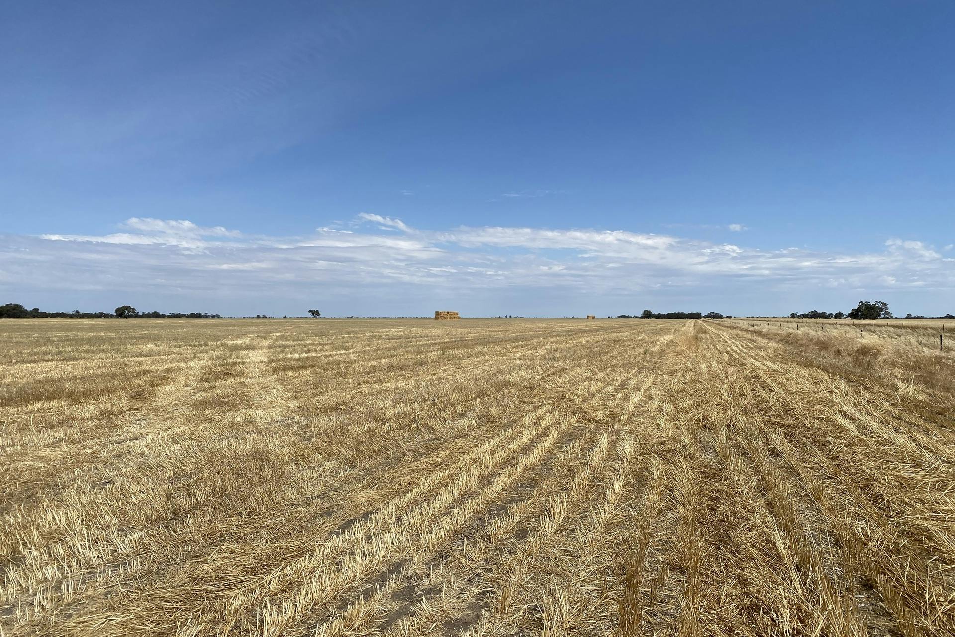 DonaldMurtoa Road, Minyip, VIC, 3392 Sold Elders Real Estate