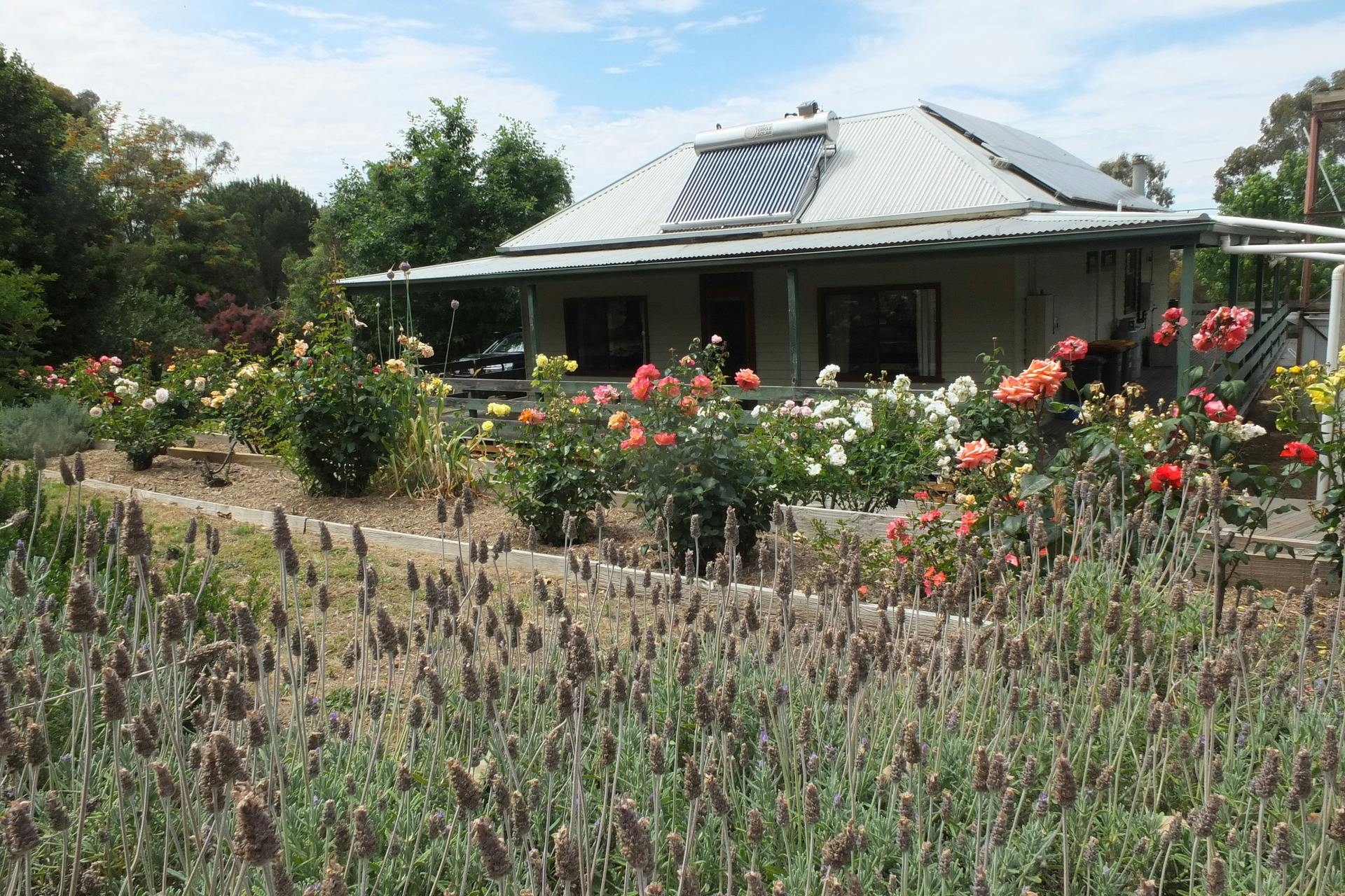 23 Goddard Lane, Moonambel, VIC, 3478 Sold Elders Real Estate