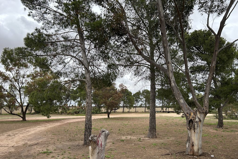 572 Hampel Road, Rudall, SA, 5642 - Image 15