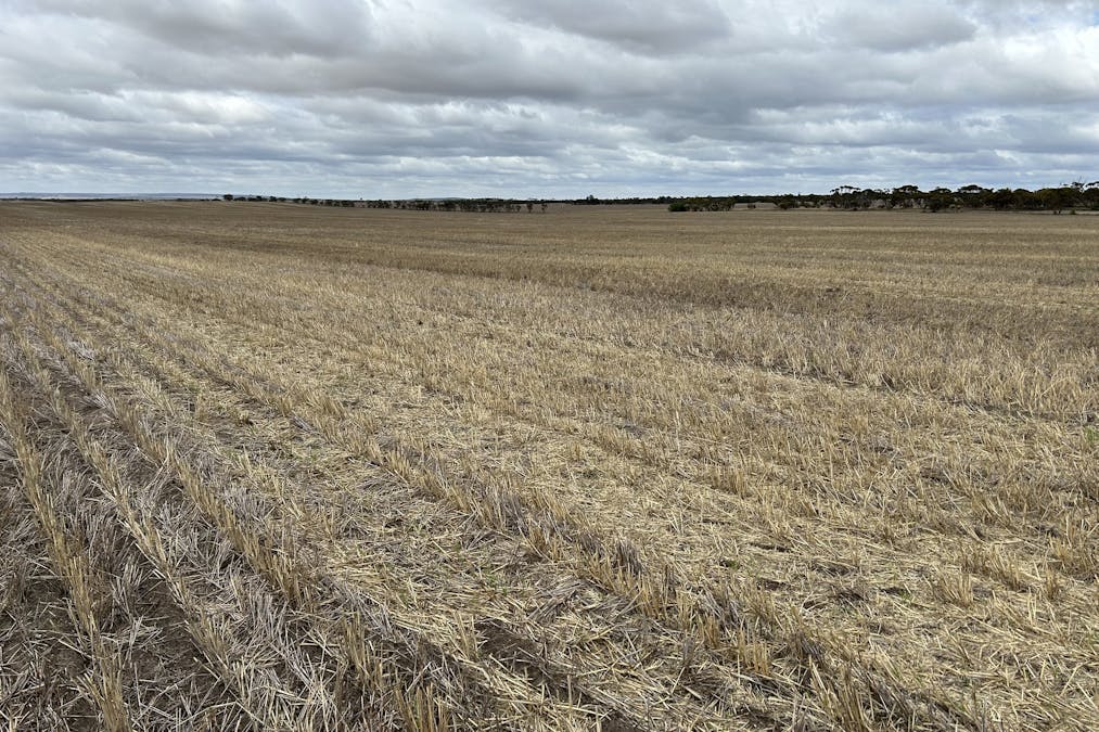 572 Hampel Road, Rudall, SA, 5642 - Image 31