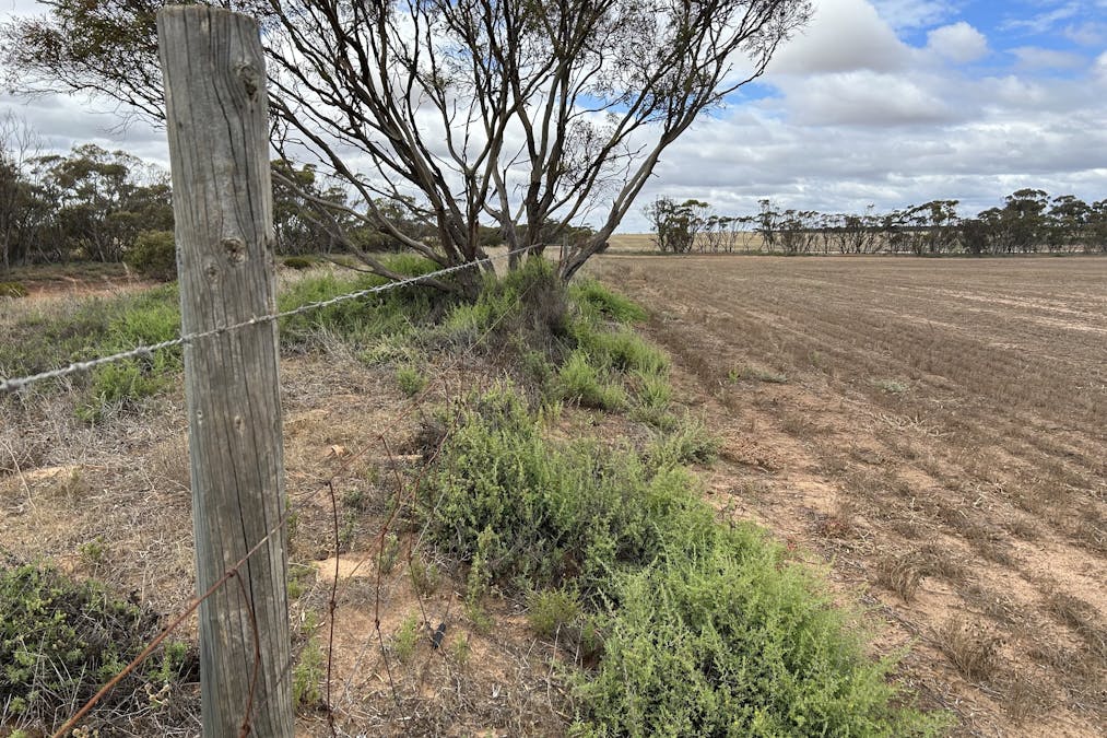 572 Hampel Road, Rudall, SA, 5642 - Image 32