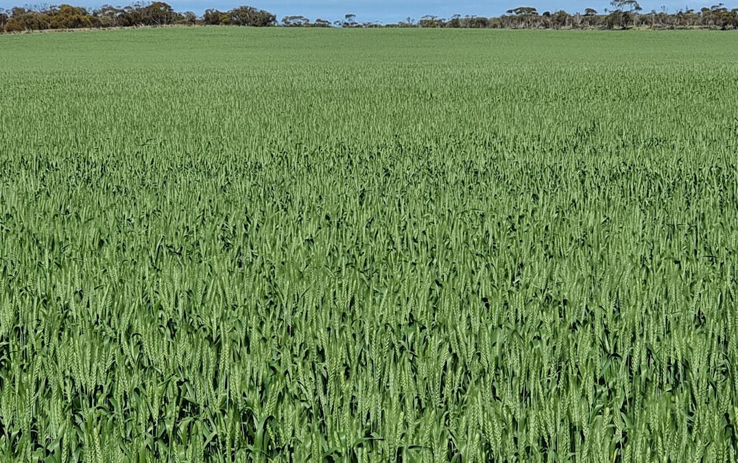 572 Hampel Road, Rudall, SA, 5642 - Image 2