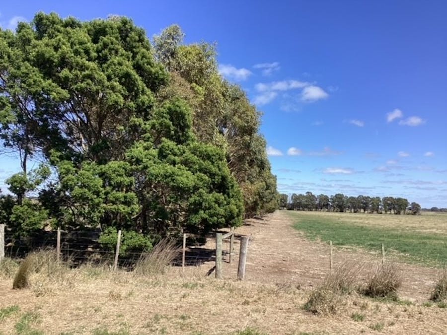 Cuthberts Road, Bo Peep, VIC, 3351 - Image 7