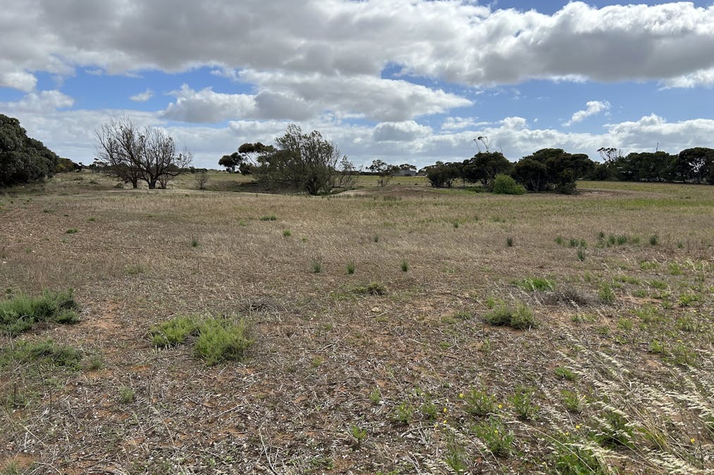 7462 Lincoln Highway, Port Neill, SA, 5604 - Image 14