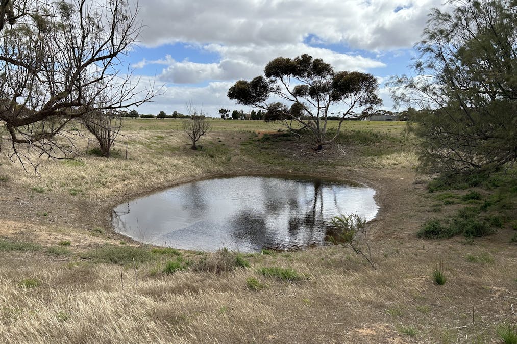 7462 Lincoln Highway, Port Neill, SA, 5604 - Image 4