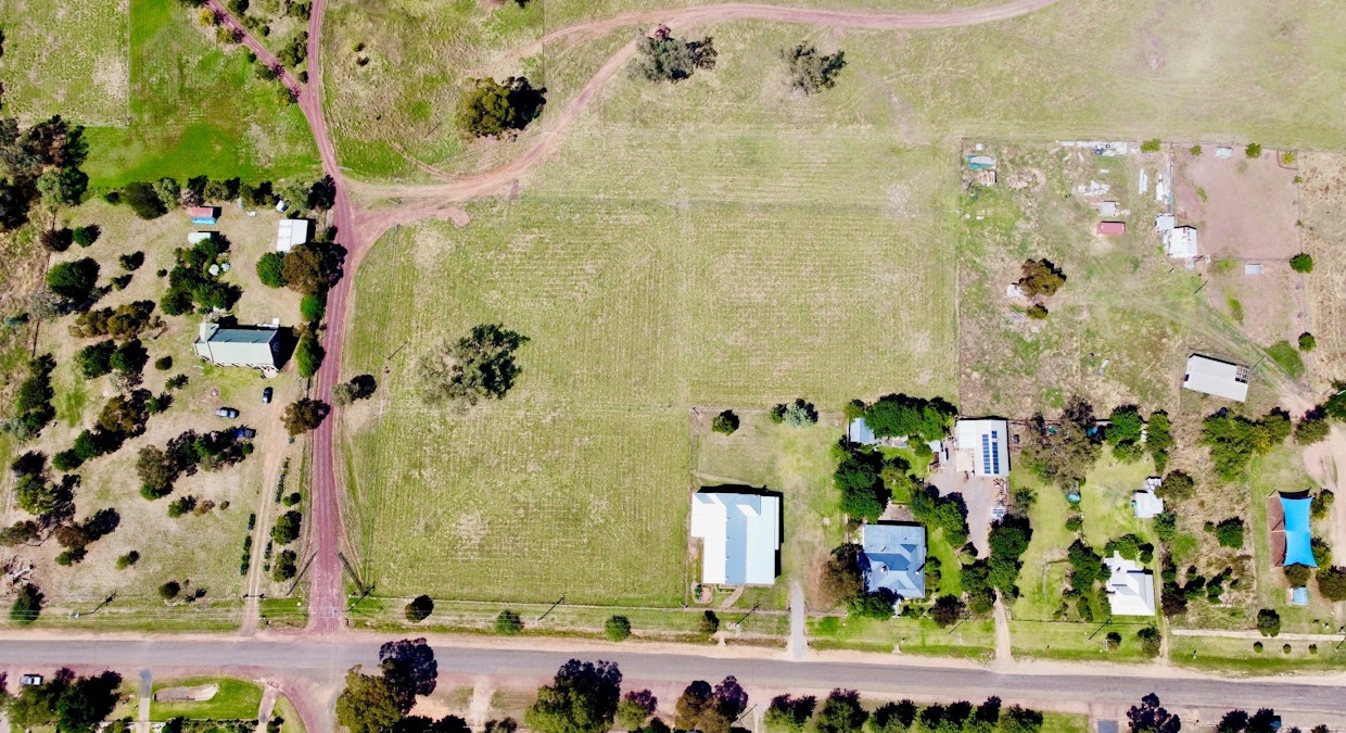 Bendick Murrell Road, Young, NSW, 2594 - Image 4