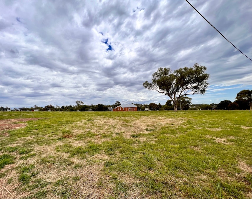 Bendick Murrell Road, Young, NSW, 2594 - Image 3