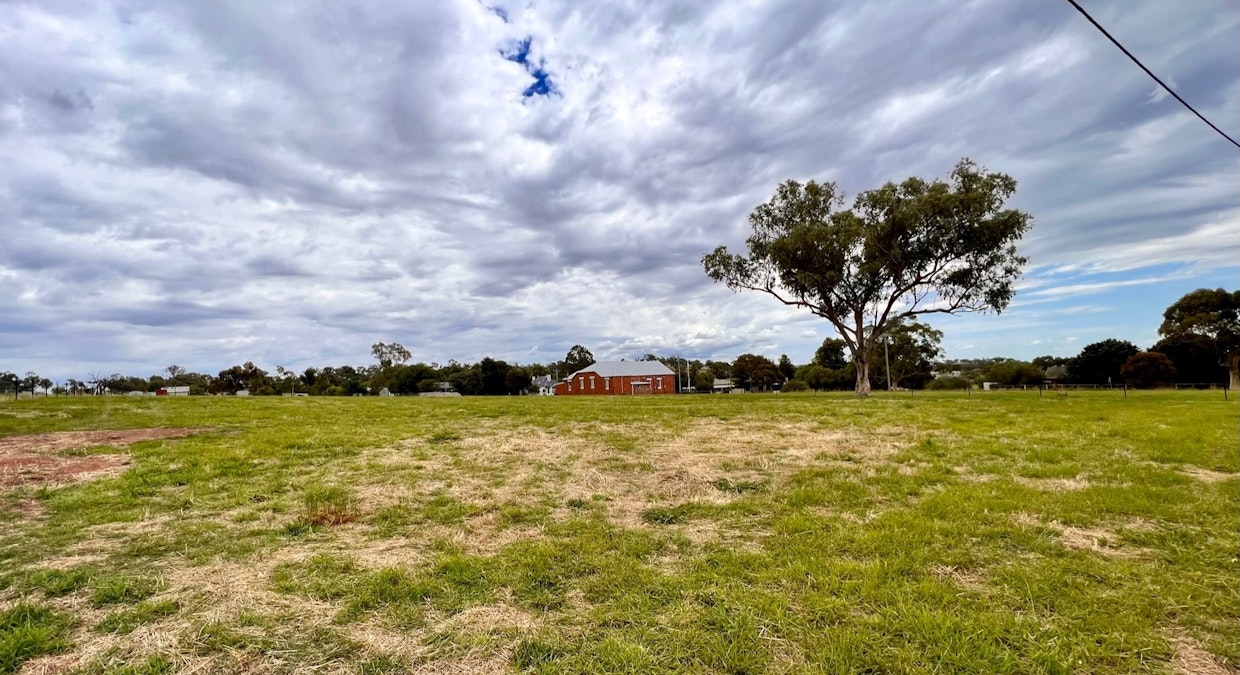 Bendick Murrell Road, Young, NSW, 2594 - Image 3